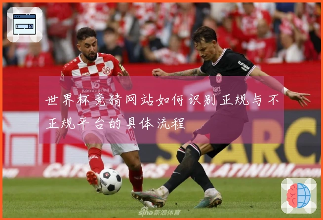 世界杯竞猜网站如何识别正规与不正规平台的具体流程